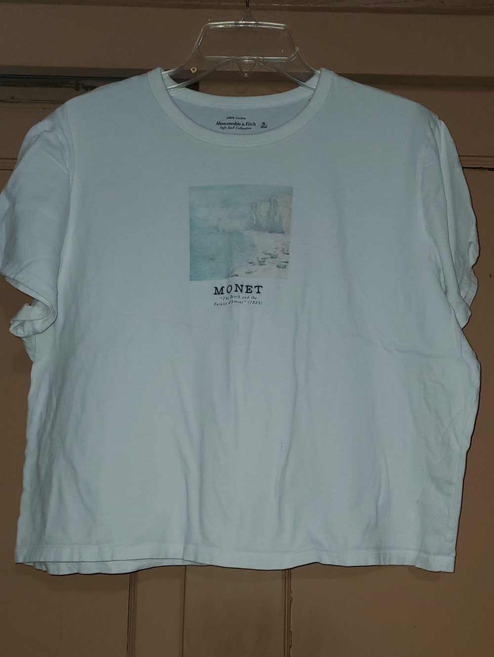 Abercrombie & Fitch Women’s CroppedGraphic 'Monet' Tee